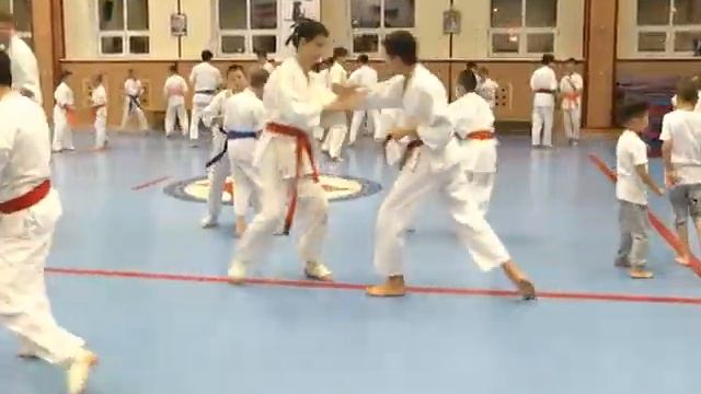 Спорт Тайм 01 11 16 смотреть онлайн