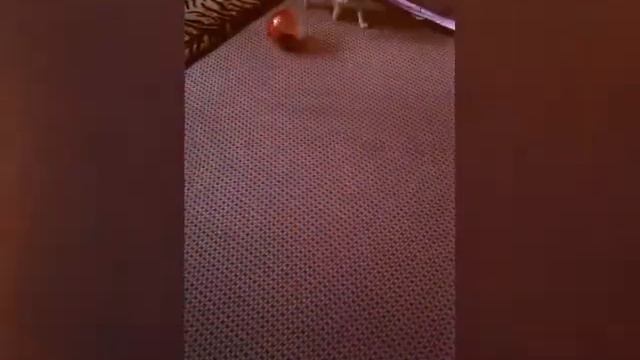 Title . Вот что значит любовь. Посмотри до конца! !!! смотреть онлайн