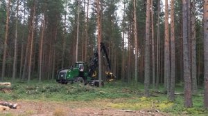 Харвестер валит лес в Малиновке.