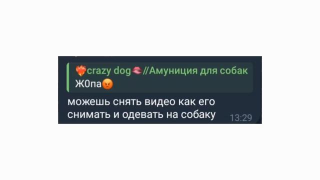туториал как одеть ошейник ?// клуб амуниции\\ смотреть онлайн