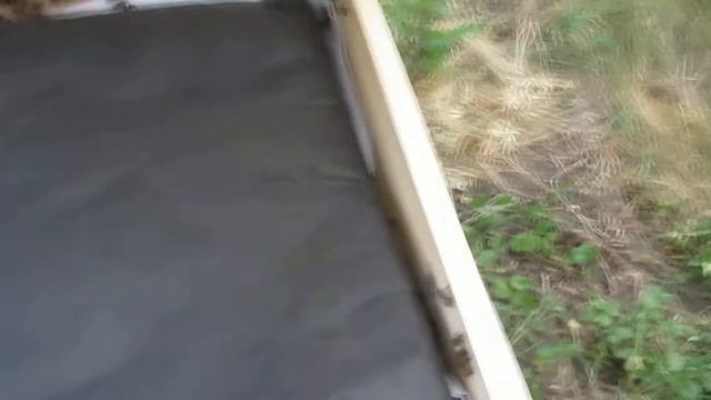 счастливое переселение роя с дерева в комфортный улей 04.06.18. смотреть онлайн