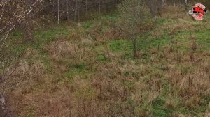 ОХОТА на кабана с вышки | Cекреты ОХОТЫ с вышки | Подкормочная площадка