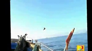 UFO. НЛО в море реальные факты.