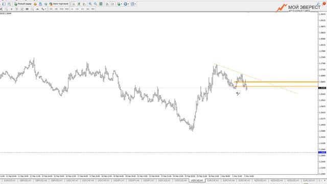 Срочно в работу! Форекс обзор GBPUSD USDCAD Фрагмент закрытого занятия ВИП клуба смотреть онлайн