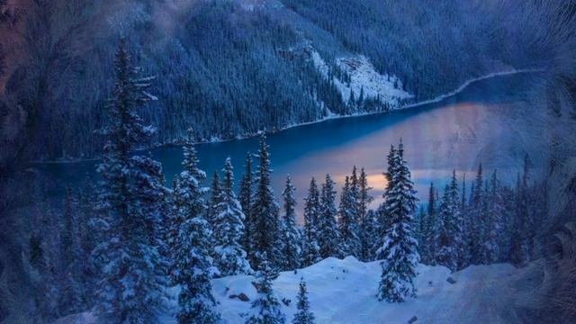 Сказочный зимний лес #стихи#проза#зимнийлес