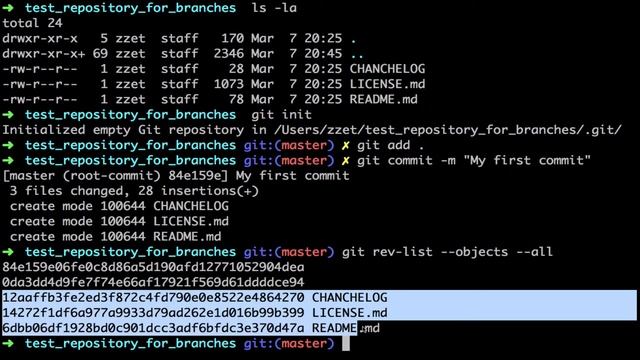 Introduction to git branch смотреть онлайн
