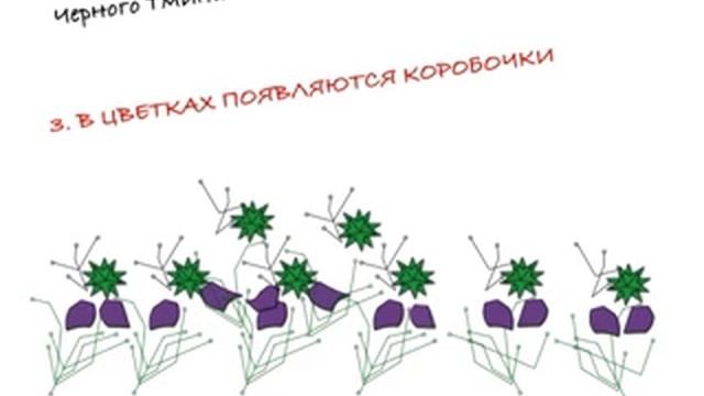 Чёрный тмин. смотреть онлайн