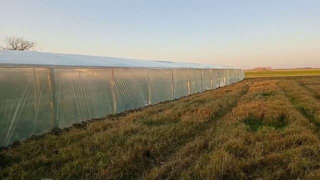 Теплица своими руками дешевле уже некуда Подробный обзор теплицы для тюльпанов ПАРНИК смотреть онлайн