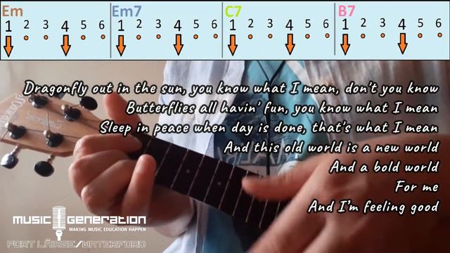 Feeling Good - Ukulele Play Along