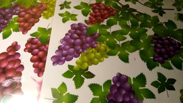 Самоклеющаяся наклейка на стену - Виноградная лоза смотреть онлайн