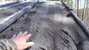 Как найти глухариный ток без снега. Проведал дальнюю избушку. Лосиха с лосенком.