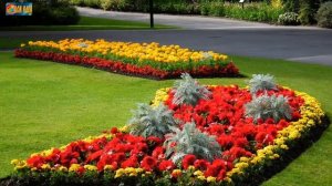 Рабатка – необычный цветник