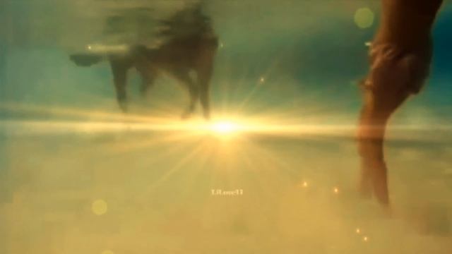 Eldar Mansurov - Taleyim