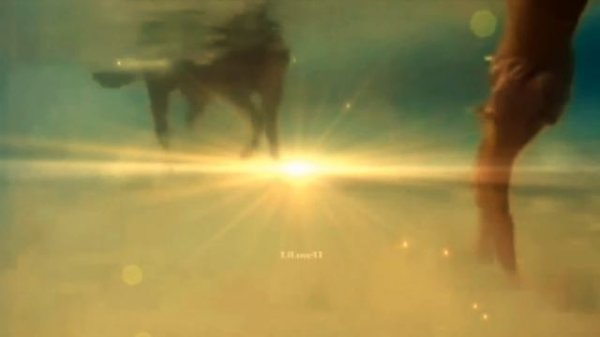 Eldar Mansurov - Taleyim