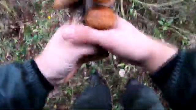 Часть 2-я , 3-х Дневная Рыбалка На Карпа смотреть онлайн