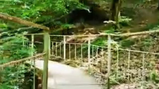 ГОРЯЧИЙ КЛЮЧ КРАСНОДАРСКИЙ КРАЙ. смотреть онлайн