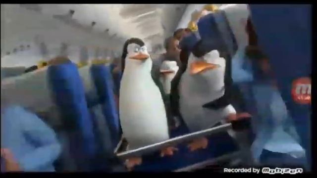 Пингвины спрыгивают с высаты. Пингвины мадагаскара (2014) смотреть онлайн