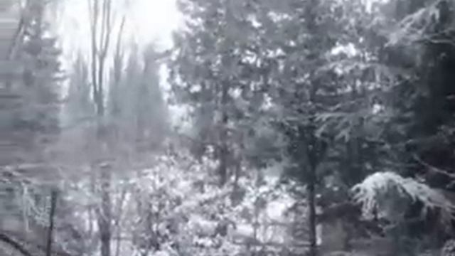 Людмила Зыкина За окошком свету мало .flv смотреть онлайн