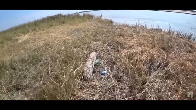 Как сделать х10 на альткоинах (стратегия Богатейши Ди) смотреть онлайн