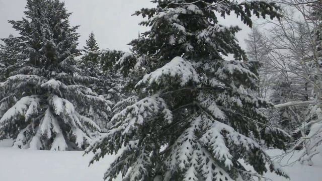 Природа после метели и обратный путь