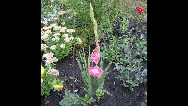 АХ ЛЕТО! Ч.2 смотреть онлайн