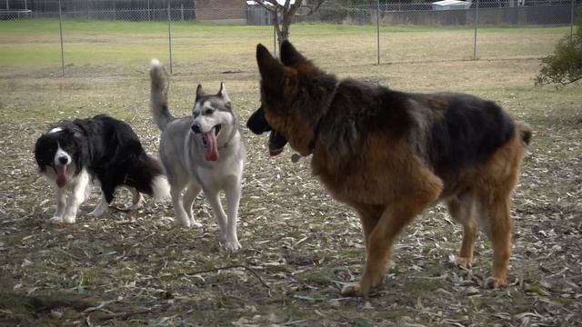 Sony DSC-RX100M5 Review | John Sison смотреть онлайн