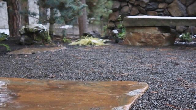 Backyard Designs With Gravel смотреть онлайн