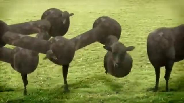 Не дай Боже это смотреть накуренным!! смотреть онлайн