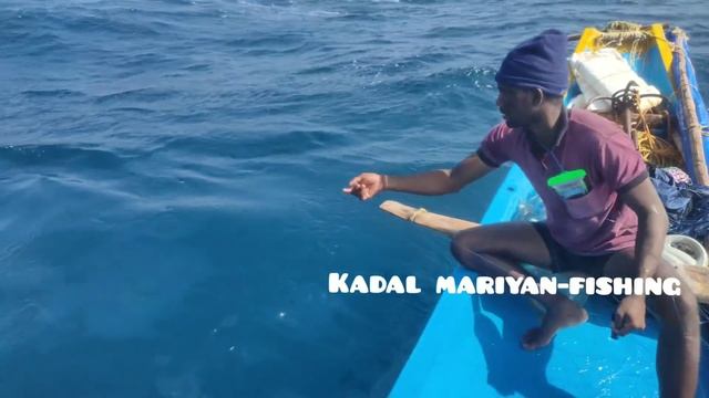 Monster Cobia & King Fish Thrilling Great Escape Video In Offshore