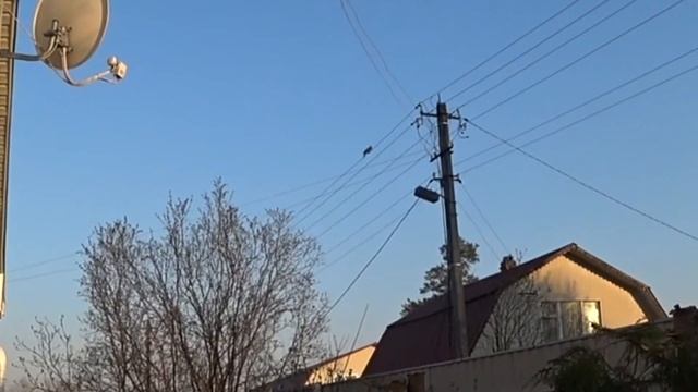 ВЛОГ «Эх, хорошо, но мало ...» / Бассейн не убираем на зиму / Любашкина морковь ? 26 апреля 2019 г. смотреть онлайн