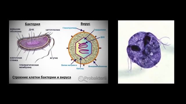 Семинар 22. Геометрия дыхания. (6 часть) смотреть онлайн