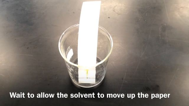 2.9 Separation Of Photosynthetic Pigments By Chromatography (Practical 4)