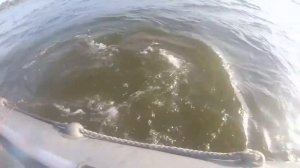 Ловля сома на урез на р Волга  ч  6