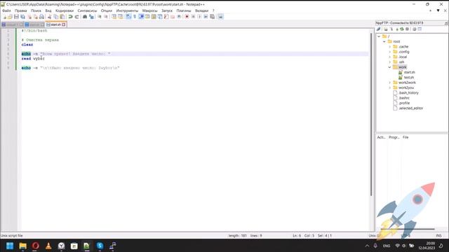 Основы BASH. Первый скрипт на BASH. Как сделать интерактивный скрипт на BASH.