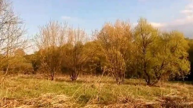 7ой день в деревне. Работа на участке. Прогулка. Речка смотреть онлайн