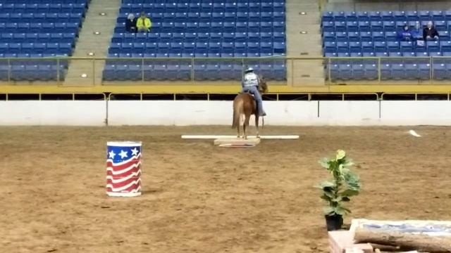 Rosie and Renni 2-21-20 B Course смотреть онлайн