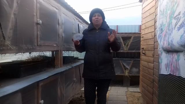 Кролики зимой: содержание смотреть онлайн