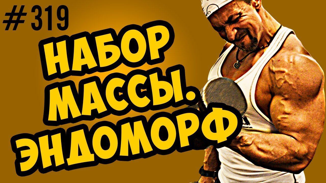 как набрать массу. советы для эндоморфа смотреть онлайн