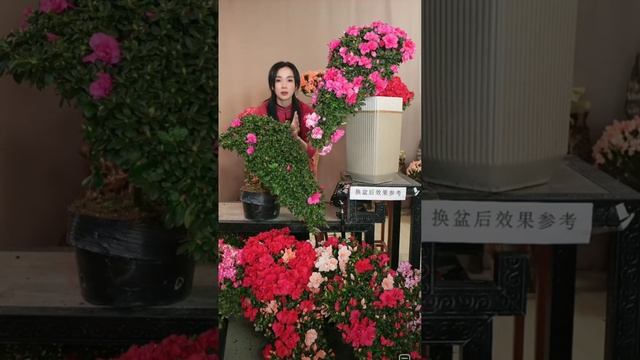 SUB: 年货专场 - New Year's Goods Special @XiaoLingShuoJing смотреть онлайн