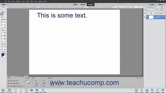 Photoshop Elements 2021 Tutorial Text Basics Adobe Training смотреть онлайн