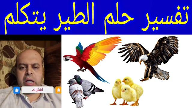 تفسير حلم رؤية الطير يتكلم في المنام ¦¦ محمود منصور смотреть онлайн
