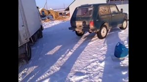 Сдаем свинью перекупам. Заселение ангара. Вес поросят в месяц - супер дюрок.