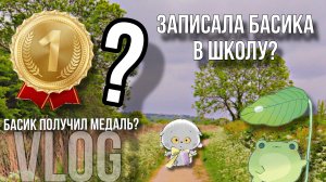 VLOG  с Басиком и Лили [Записала Басика в школу?!😳]