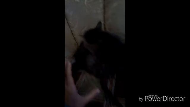Вот что значит , настоящий ужас ))) смотреть онлайн
