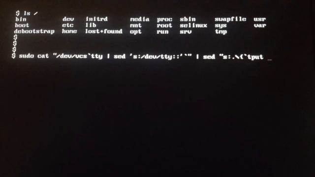 How to Take a Screenshot In the Linux TTY Without an X Server смотреть онлайн
