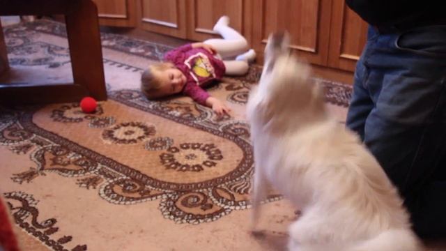 Почему я в России, милая Малеша, осенний Озерск, шпицы, моя школа ♥ Lucky Lina смотреть онлайн