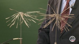 5. Электричество. Демонстрация электрического поля на султанах