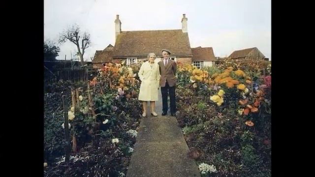 MAMAandPAPA смотреть онлайн