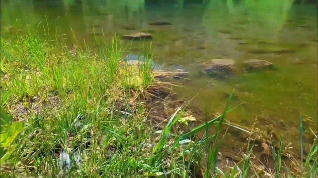 Кольсай -Каинды. Обзорная экскурсия с высоты птичьего полета.