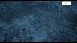 Как образовалась нефть? На планете.